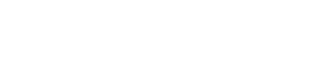 Wordmark blanco